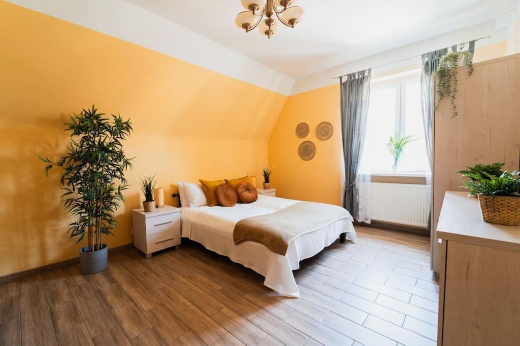 Market Square - Street Rynek 24 -2 Rooms 弗罗茨瓦夫 外观 照片