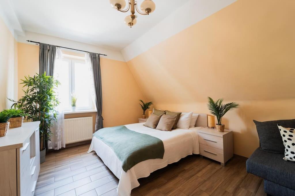 Market Square - Street Rynek 24 -2 Rooms 弗罗茨瓦夫 外观 照片