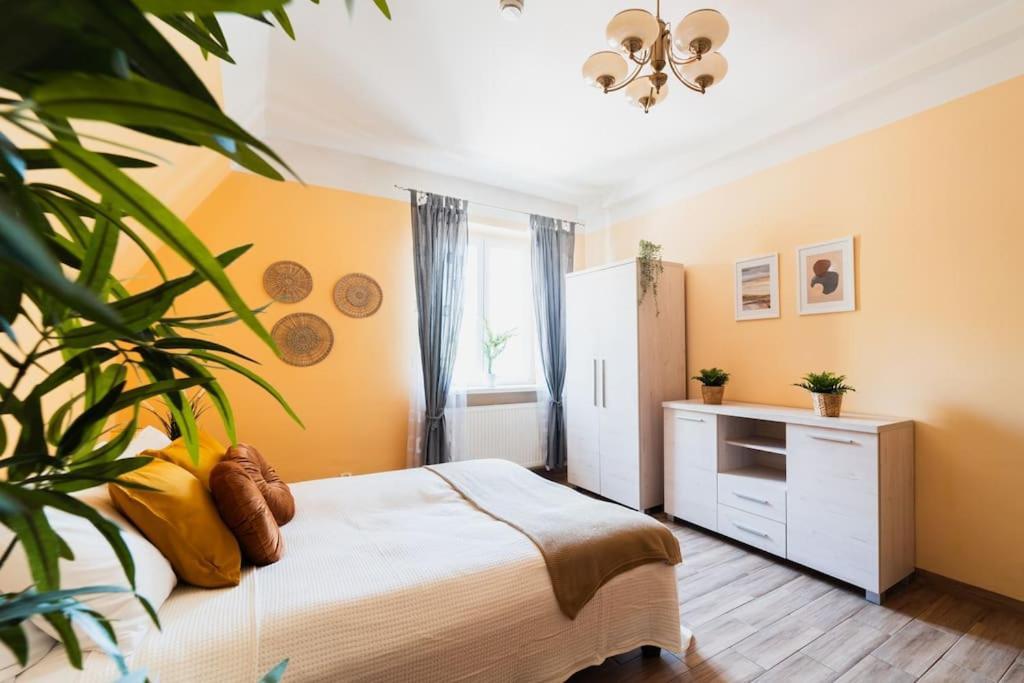 Market Square - Street Rynek 24 -2 Rooms 弗罗茨瓦夫 外观 照片