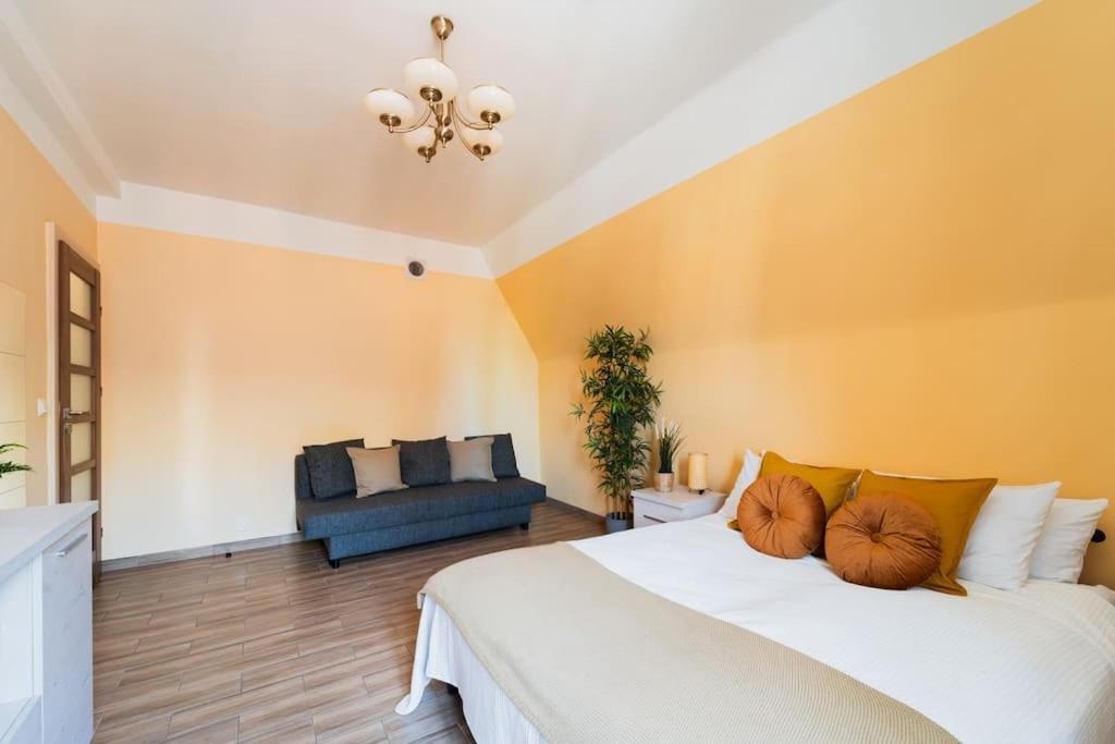 Market Square - Street Rynek 24 -2 Rooms 弗罗茨瓦夫 外观 照片