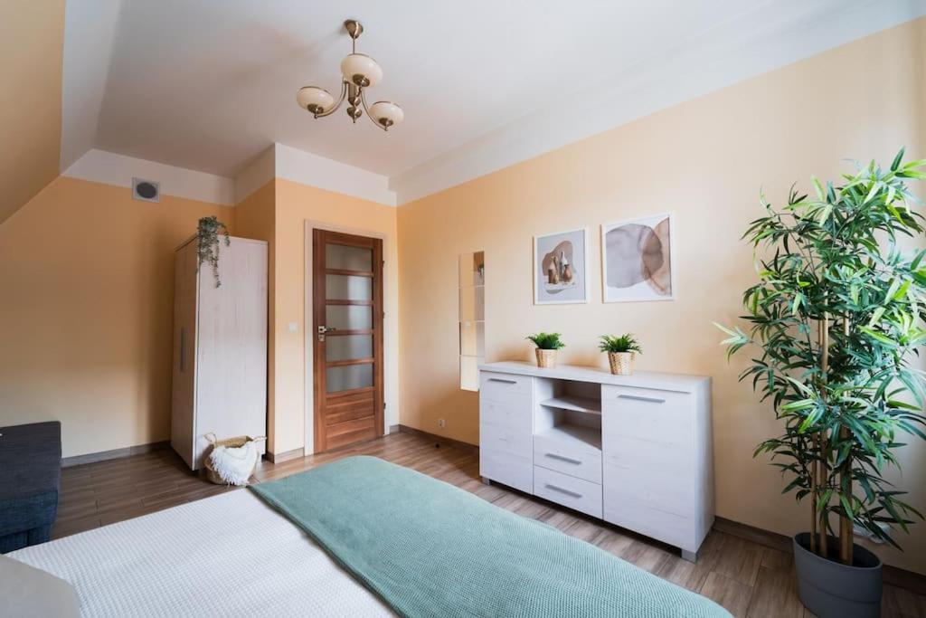 Market Square - Street Rynek 24 -2 Rooms 弗罗茨瓦夫 外观 照片